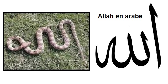 allah est satan